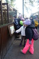 Chuchelsk&yacute; h&aacute;j