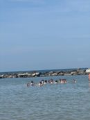 Rimini
