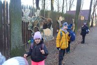 Chuchelsk&yacute; h&aacute;j