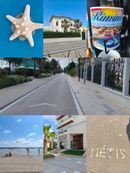 Pohlednice
