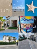 Pohlednice
