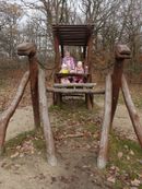 Chuchelsk&yacute; h&aacute;j