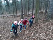 Vlč&iacute; hal&iacute;č, Hrusice