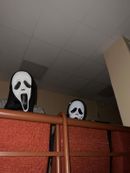 Stra&scaron;ideln&aacute; přesp&aacute;vačka