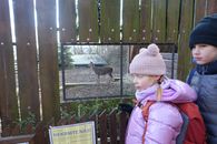 Chuchelsk&yacute; h&aacute;j