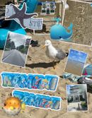 Pohlednice