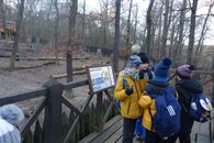 Chuchelsk&yacute; h&aacute;j