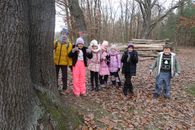 Chuchelsk&yacute; h&aacute;j