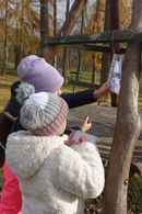 Chuchelsk&yacute; h&aacute;j