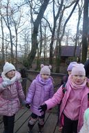 Chuchelsk&yacute; h&aacute;j